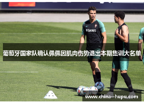 葡萄牙国家队确认佩佩因肌肉伤势退出本期集训大名单
