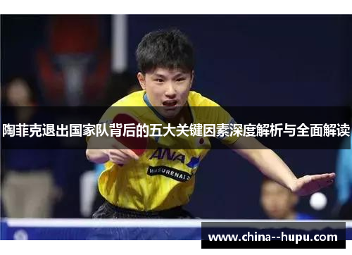陶菲克退出国家队背后的五大关键因素深度解析与全面解读