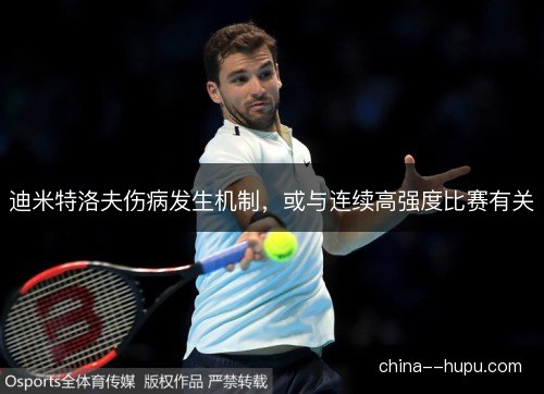 迪米特洛夫伤病发生机制，或与连续高强度比赛有关